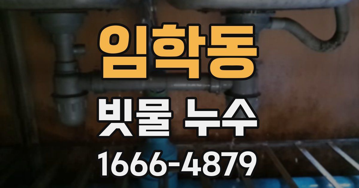 임학동 빗물 누수