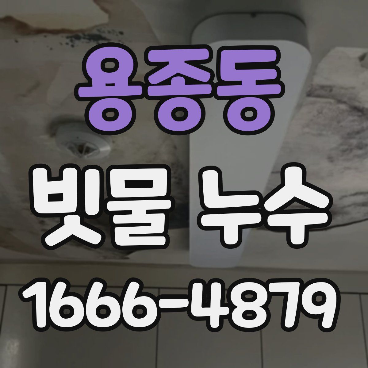 용종동 빗물 누수