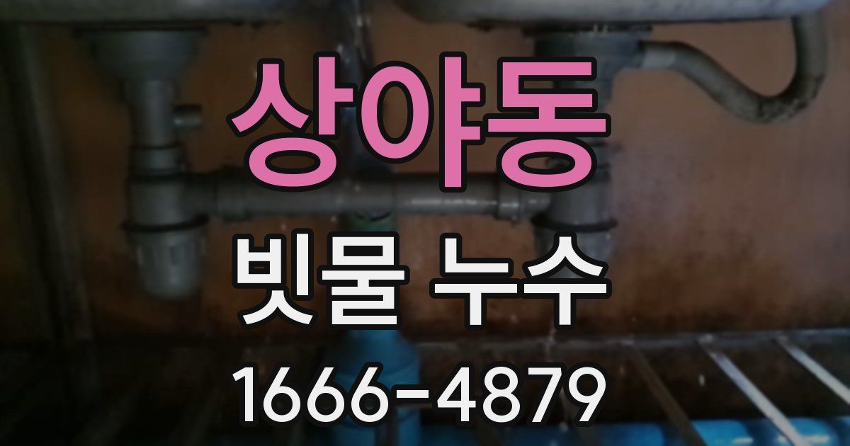 상야동 빗물 누수
