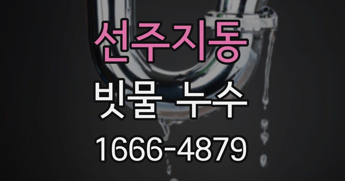 선주지동 빗물 누수