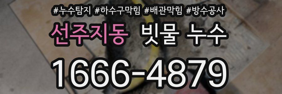 선주지동 빗물 누수