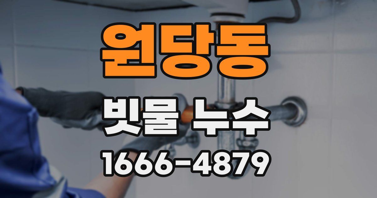 원당동 빗물 누수