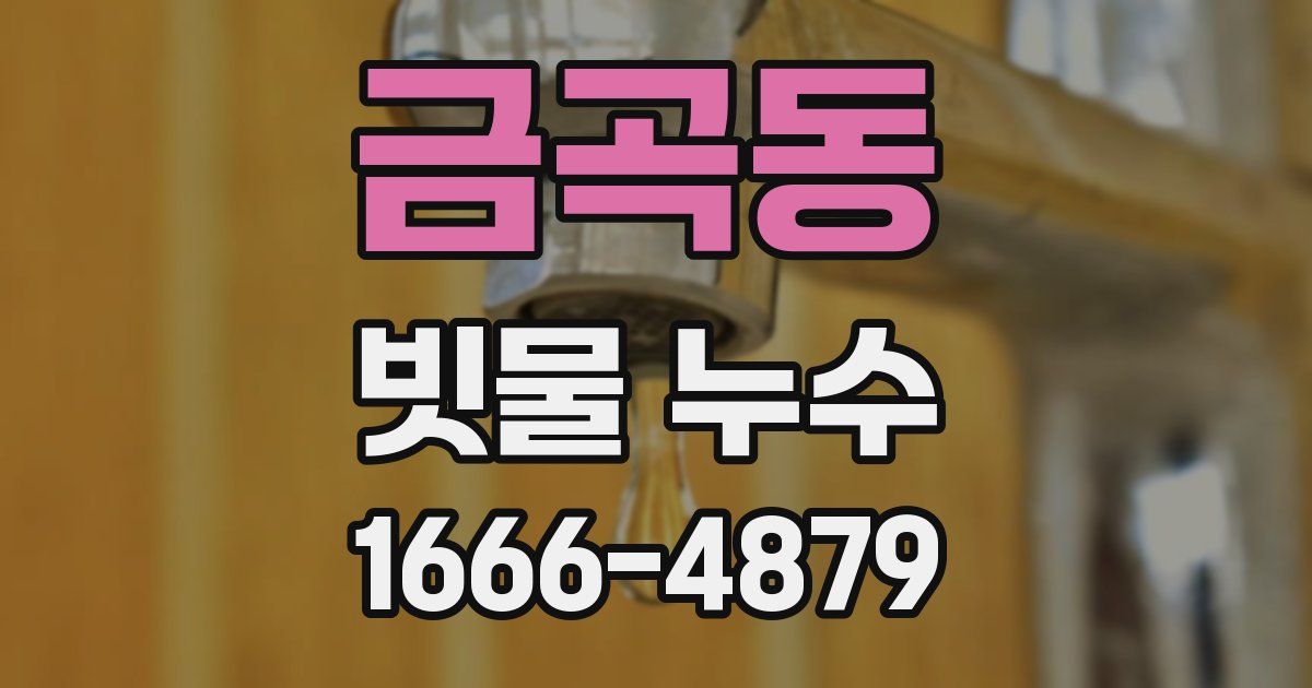 금곡동 빗물 누수