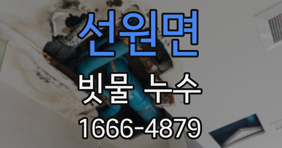 선원면 빗물 누수