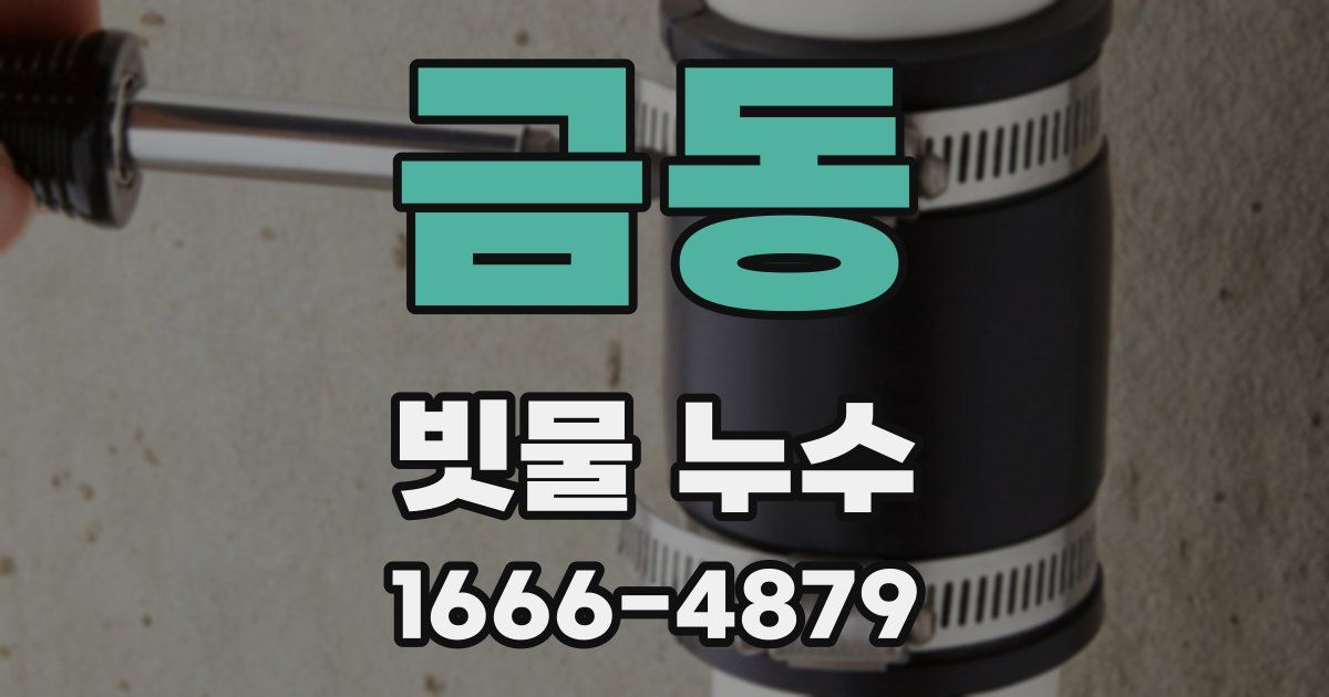 금동 빗물 누수