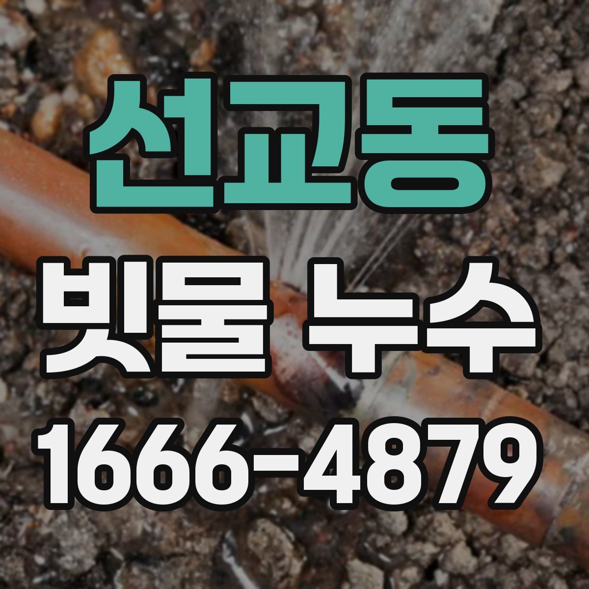 선교동 빗물 누수