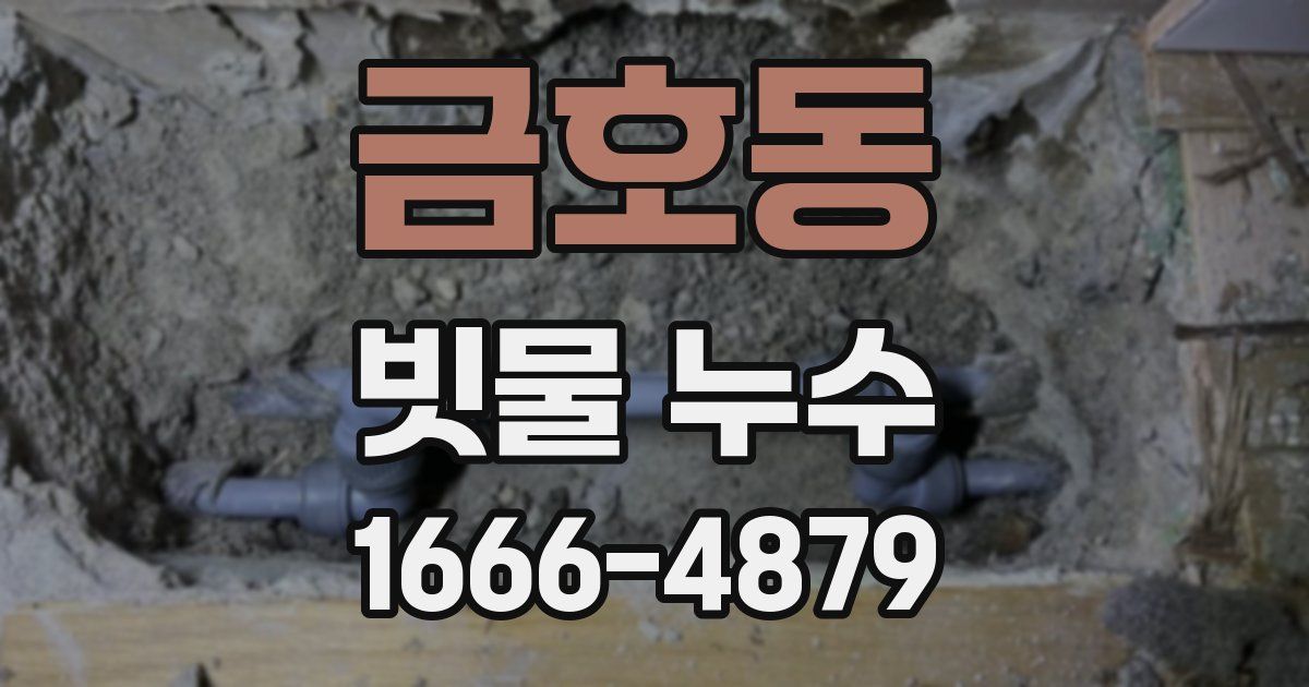 금호동 빗물 누수