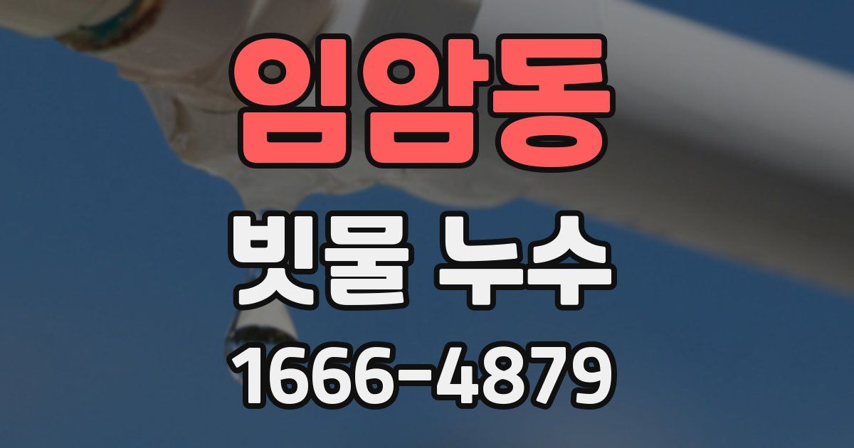 임암동 빗물 누수