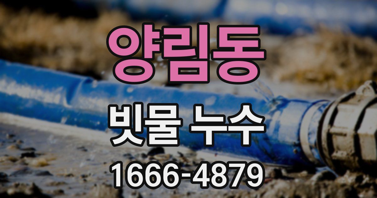 양림동 빗물 누수