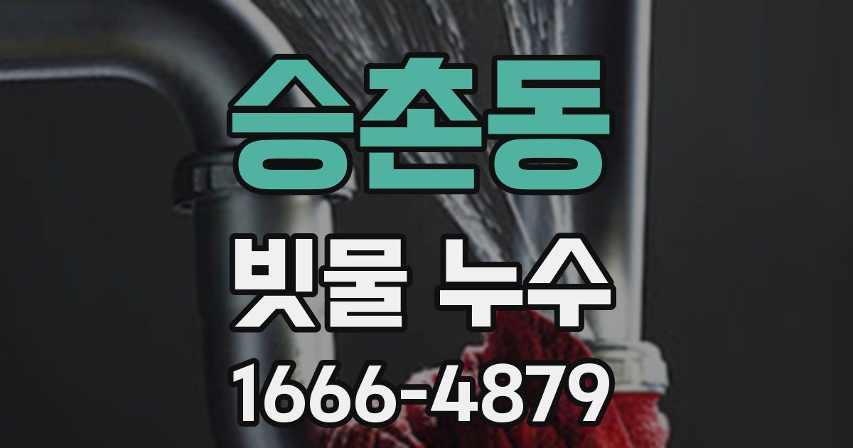 승촌동 빗물 누수