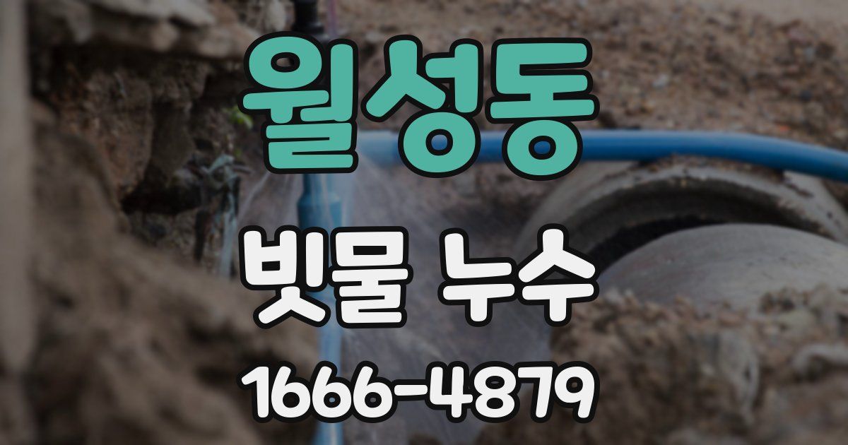 월성동 빗물 누수