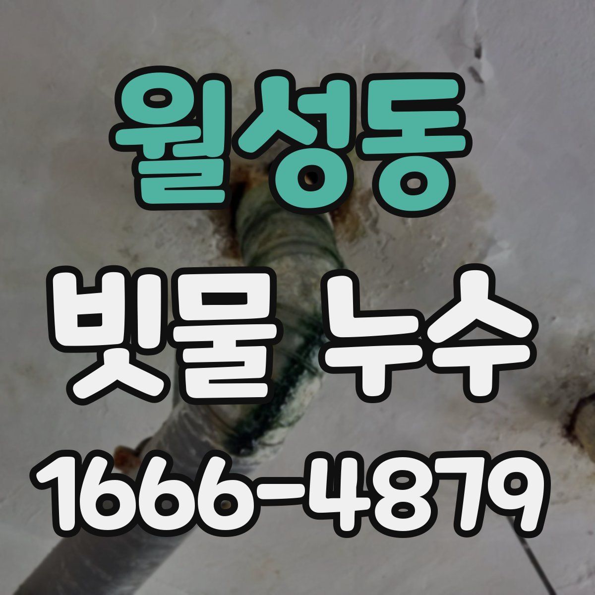 월성동 빗물 누수
