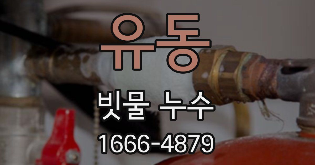 유동 빗물 누수