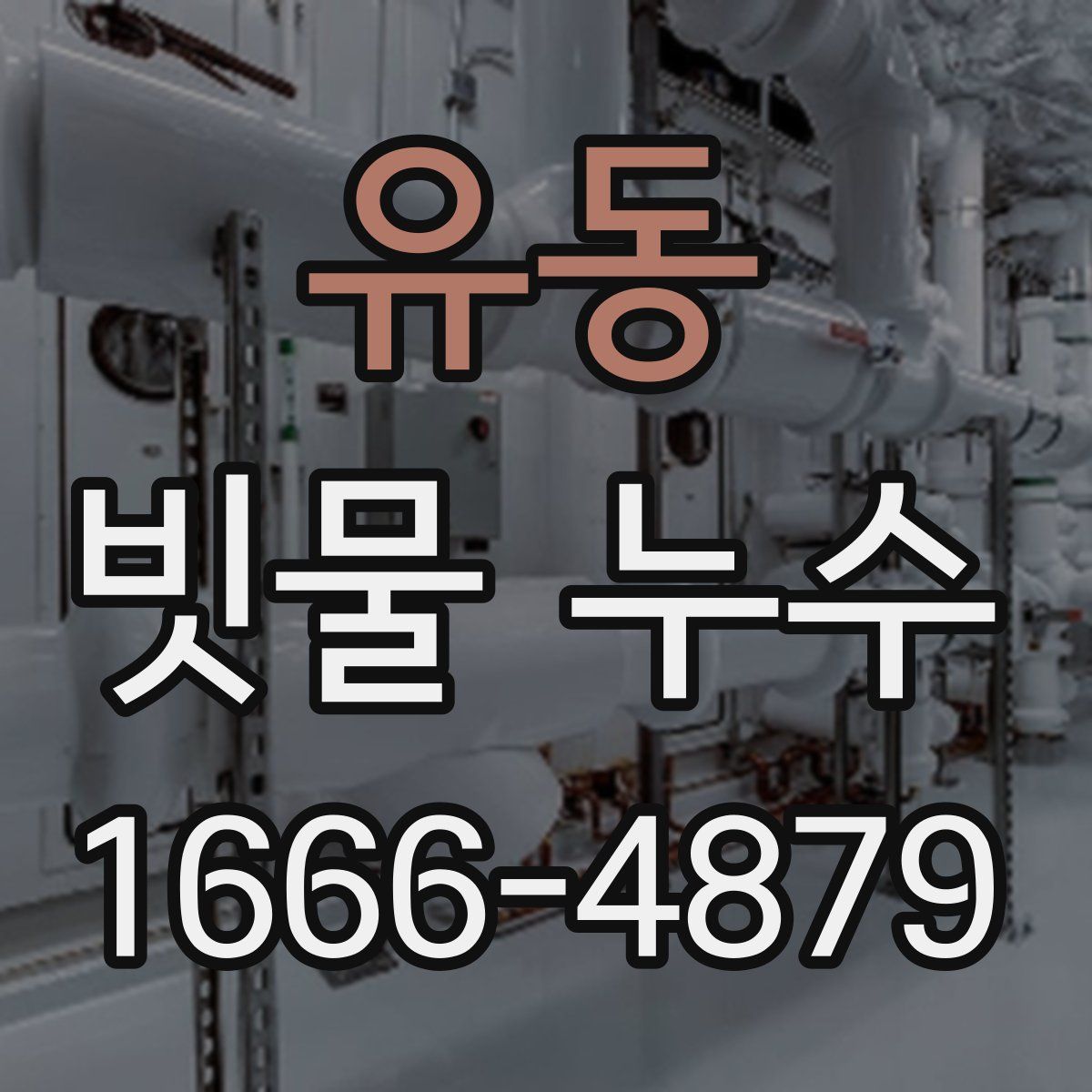 유동 빗물 누수