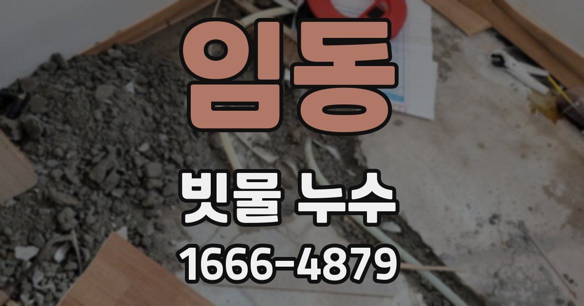 임동 빗물 누수