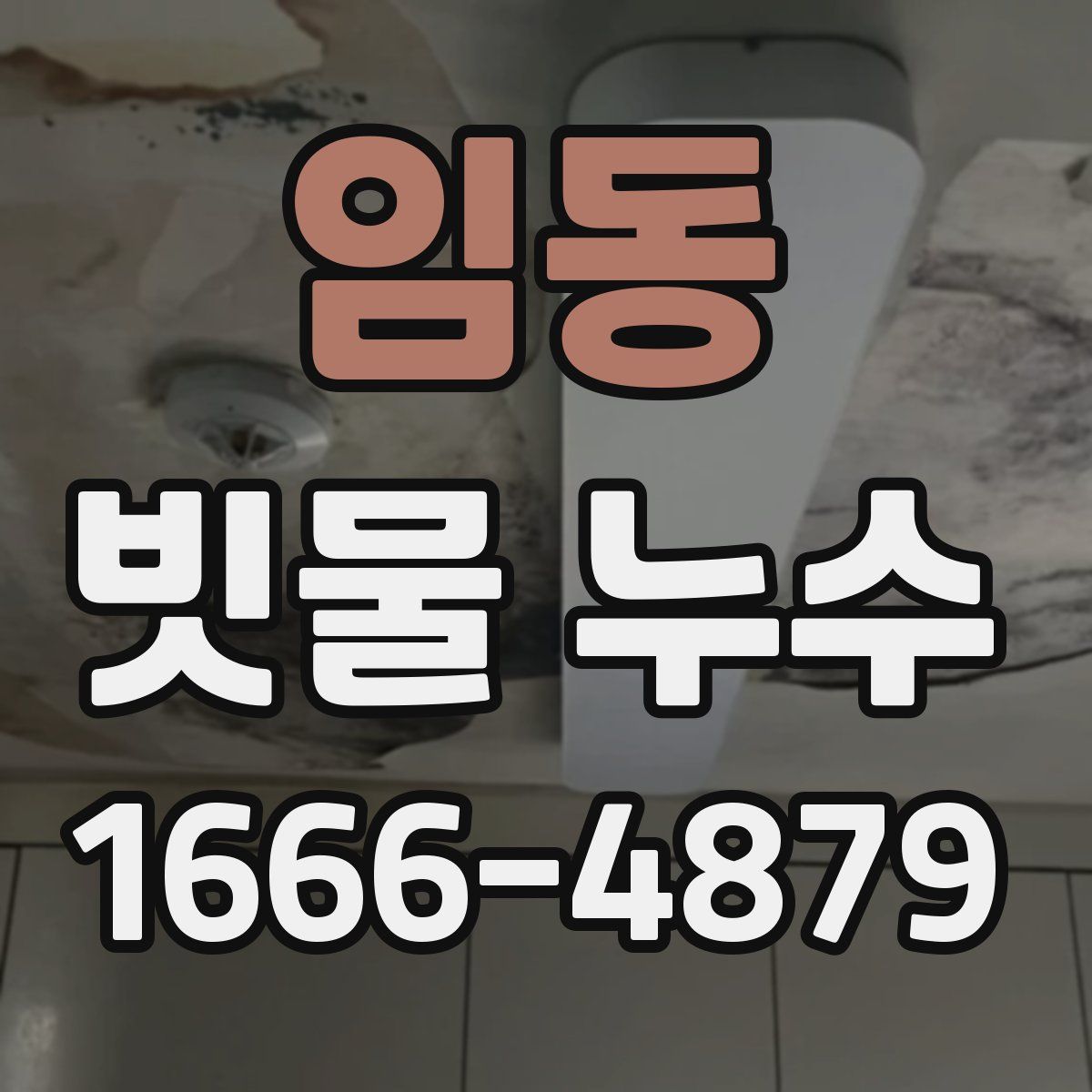 임동 빗물 누수