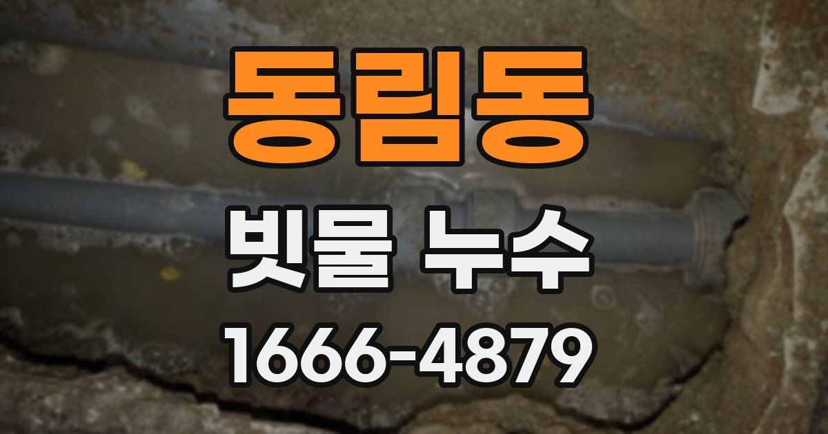 동림동 빗물 누수