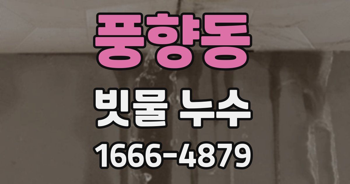 풍향동 빗물 누수