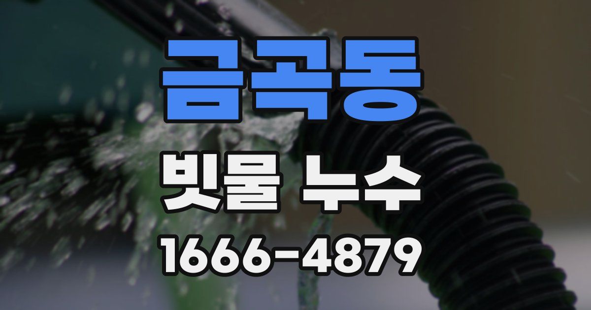 금곡동 빗물 누수