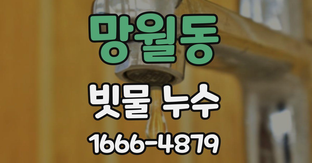 망월동 빗물 누수
