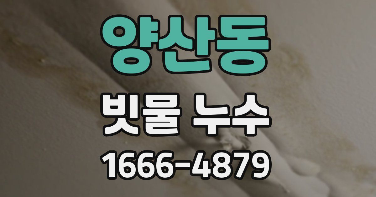 양산동 빗물 누수