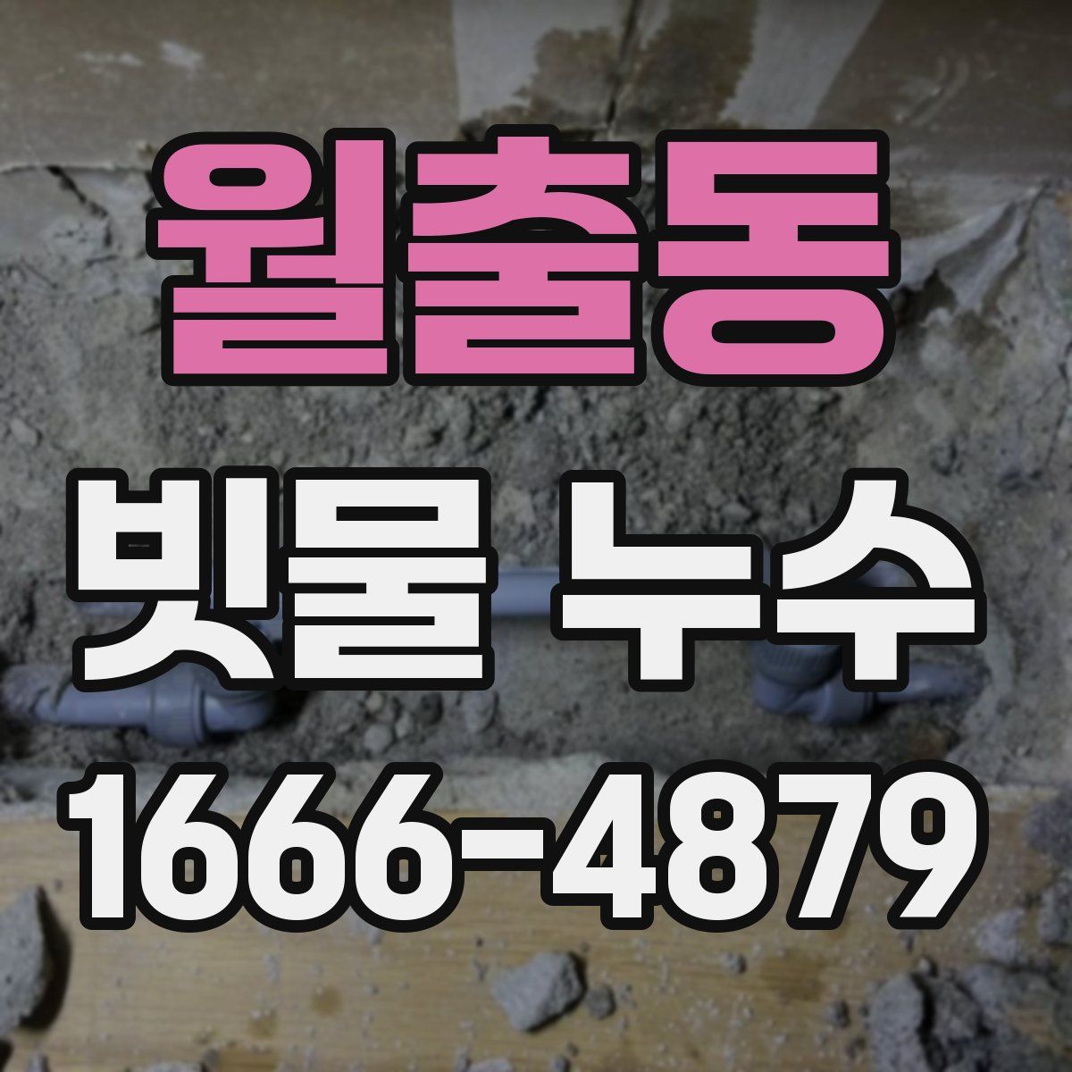 월출동 빗물 누수