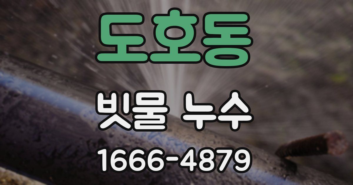 도호동 빗물 누수