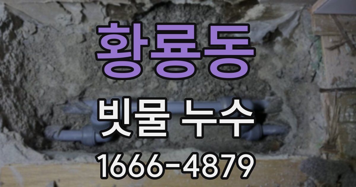 황룡동 빗물 누수