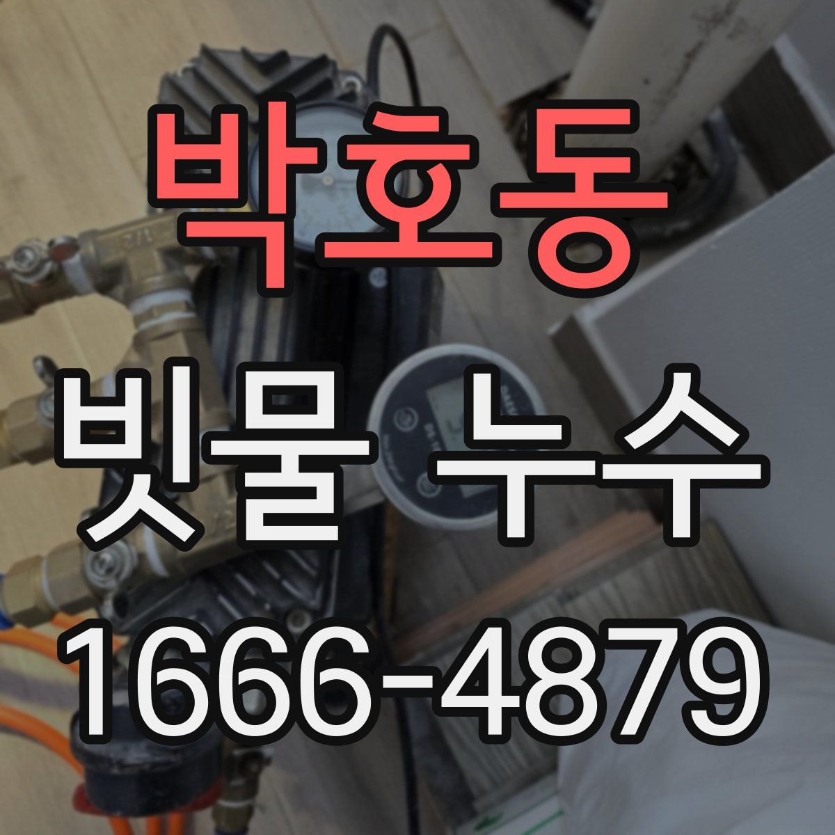박호동 빗물 누수