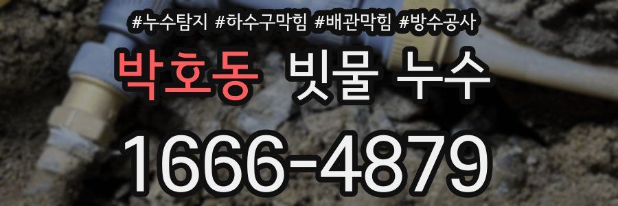 박호동 빗물 누수