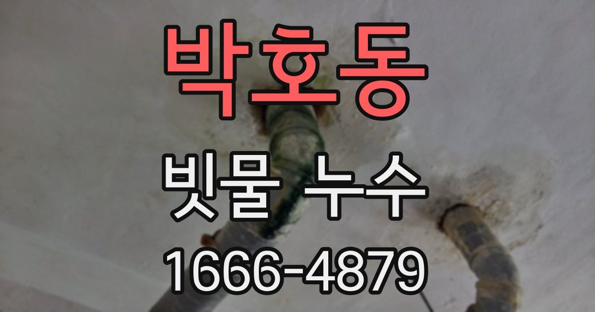 박호동 빗물 누수