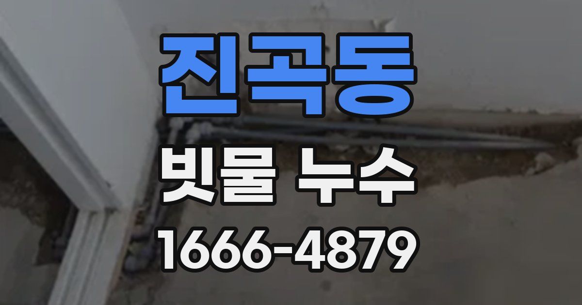 진곡동 빗물 누수