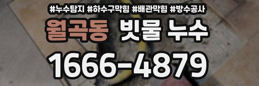 월곡동 빗물 누수