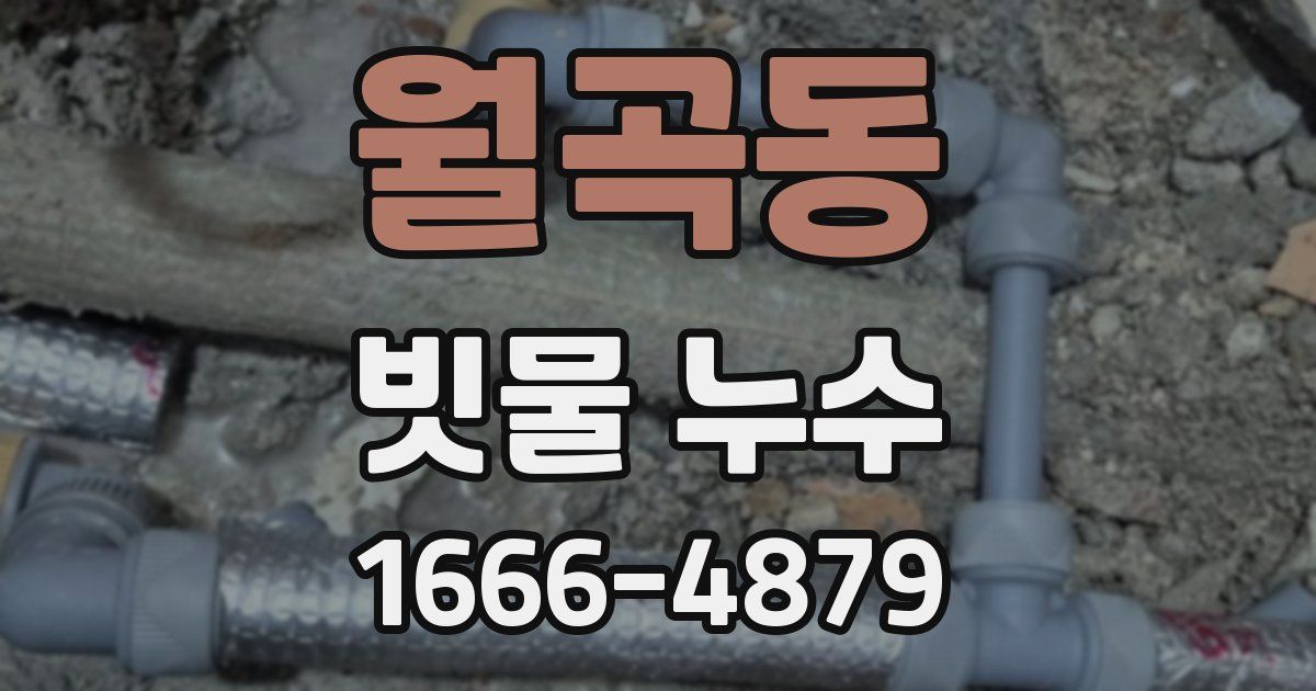 월곡동 빗물 누수
