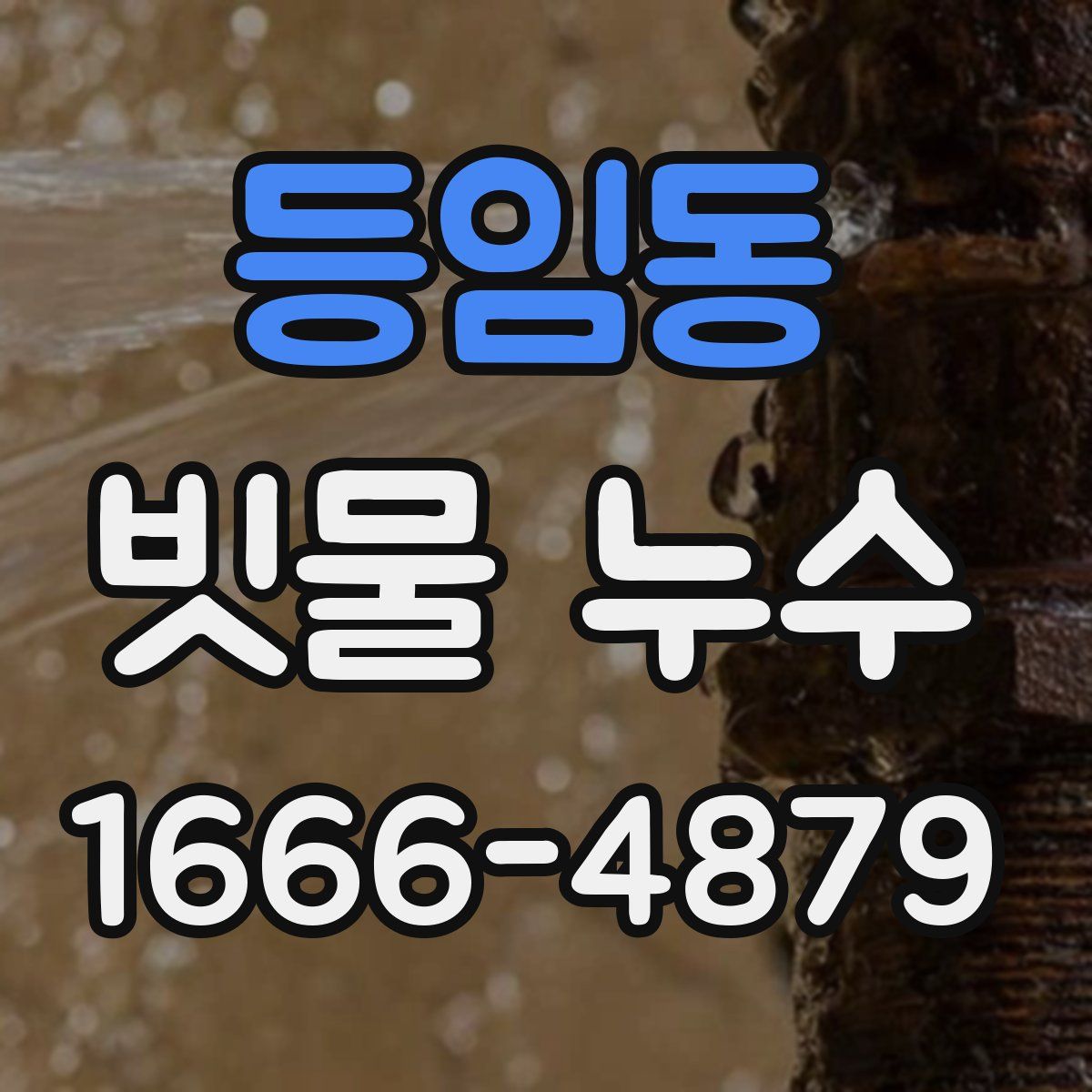 등임동 빗물 누수