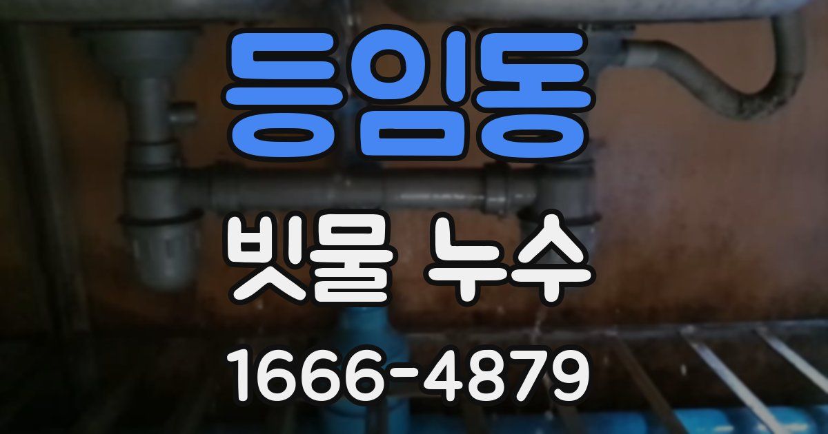등임동 빗물 누수