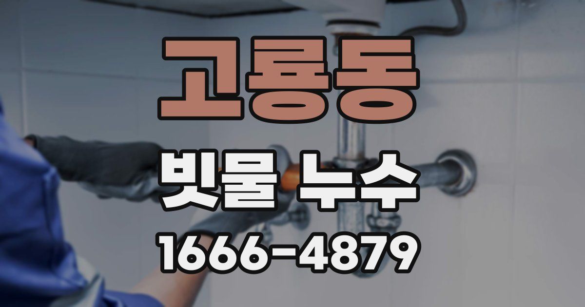 고룡동 빗물 누수