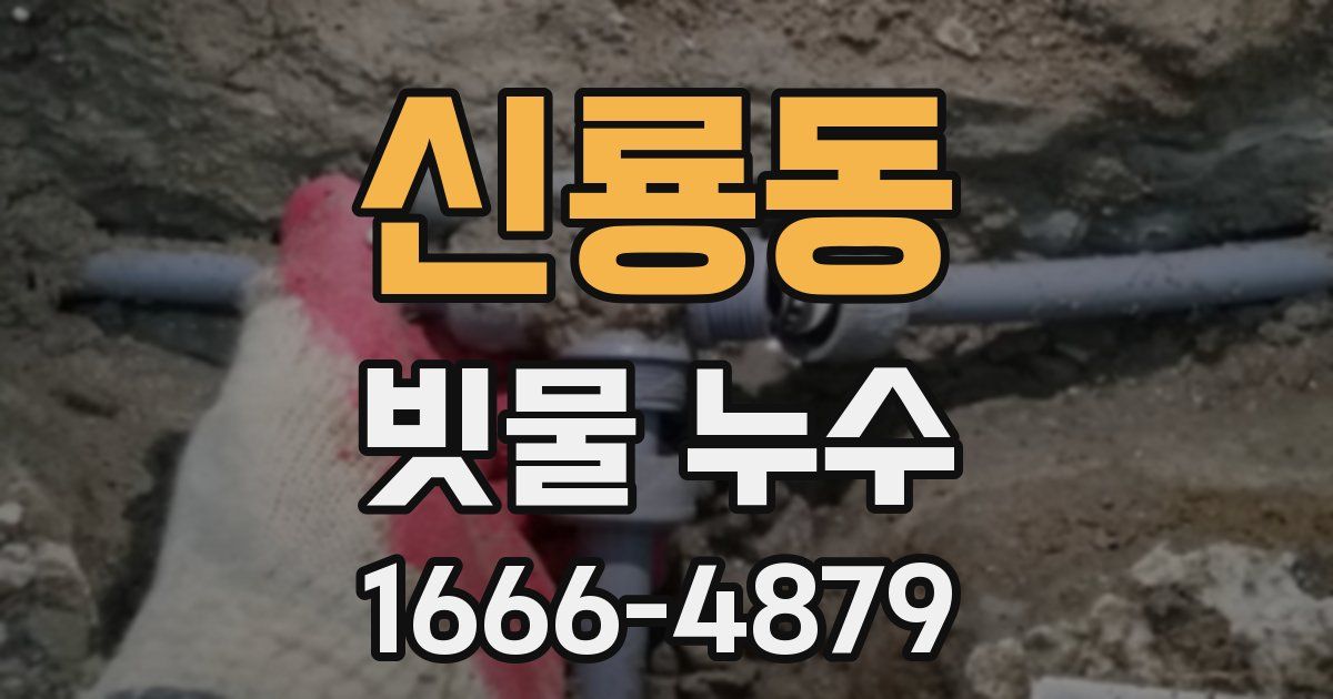 신룡동 빗물 누수