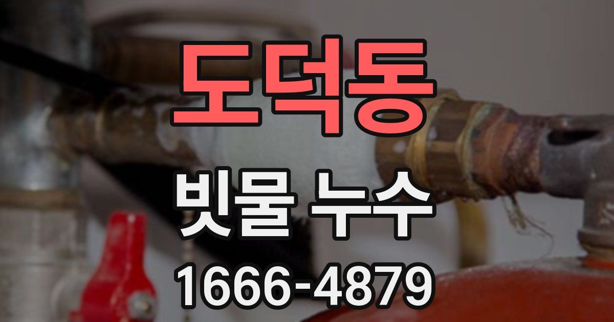 도덕동 빗물 누수