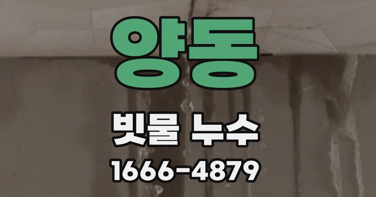 양동 빗물 누수