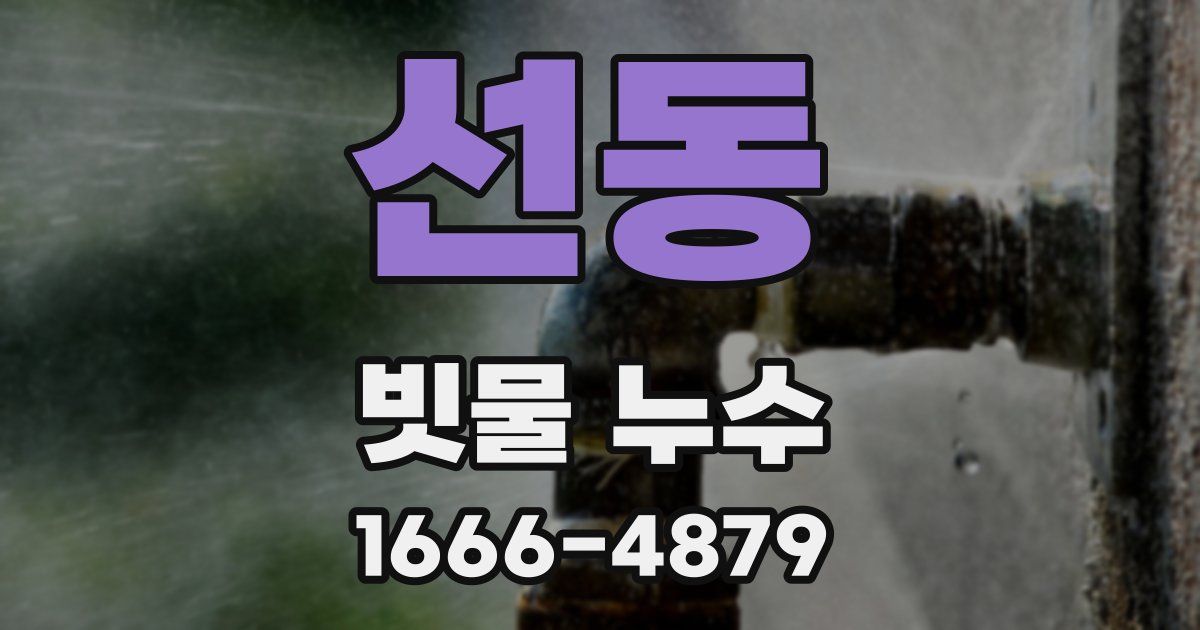선동 빗물 누수