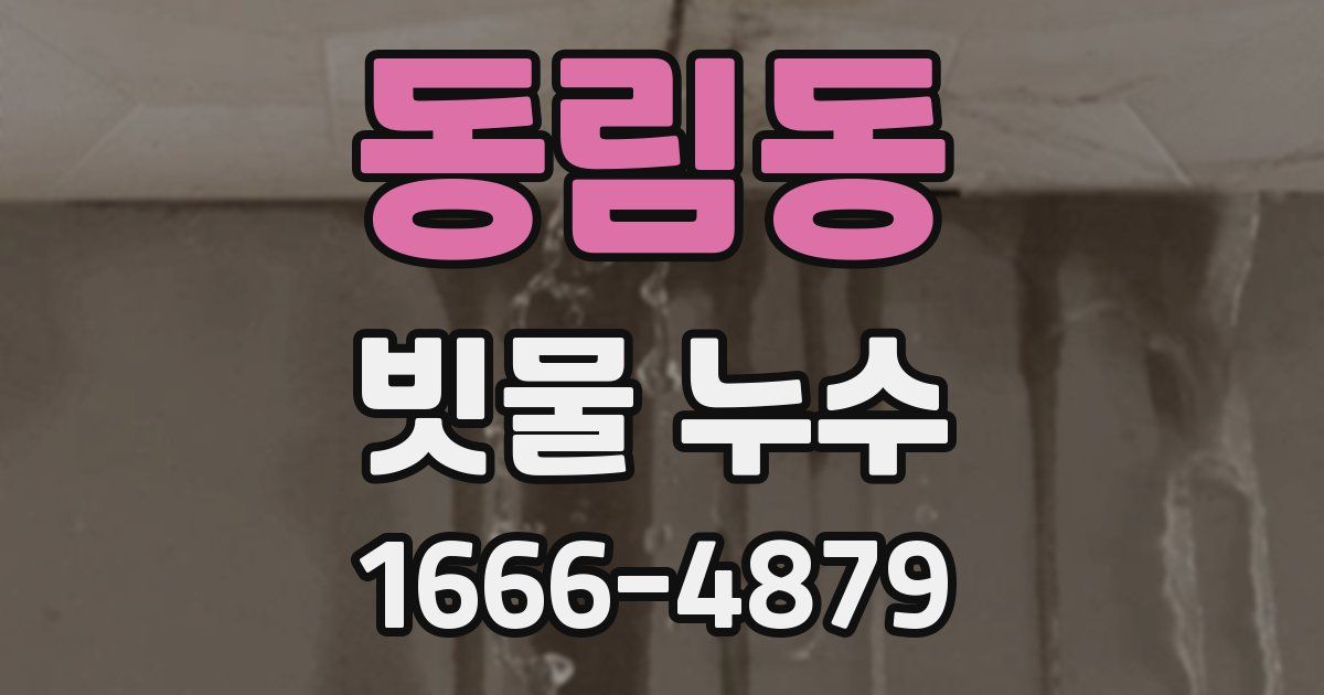 동림동 빗물 누수