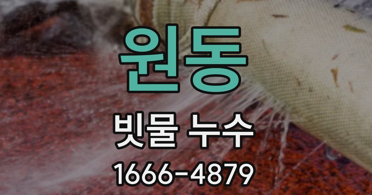 원동 빗물 누수