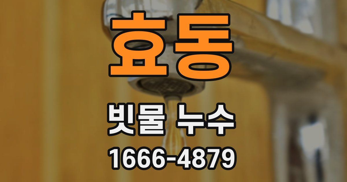 효동 빗물 누수