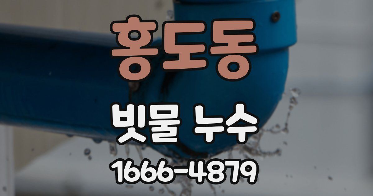홍도동 빗물 누수