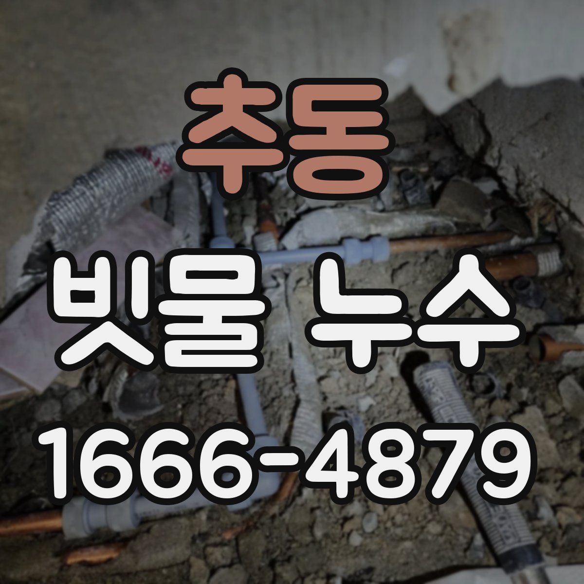 추동 빗물 누수