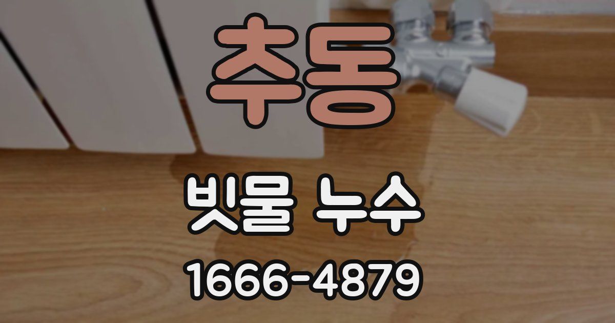 추동 빗물 누수