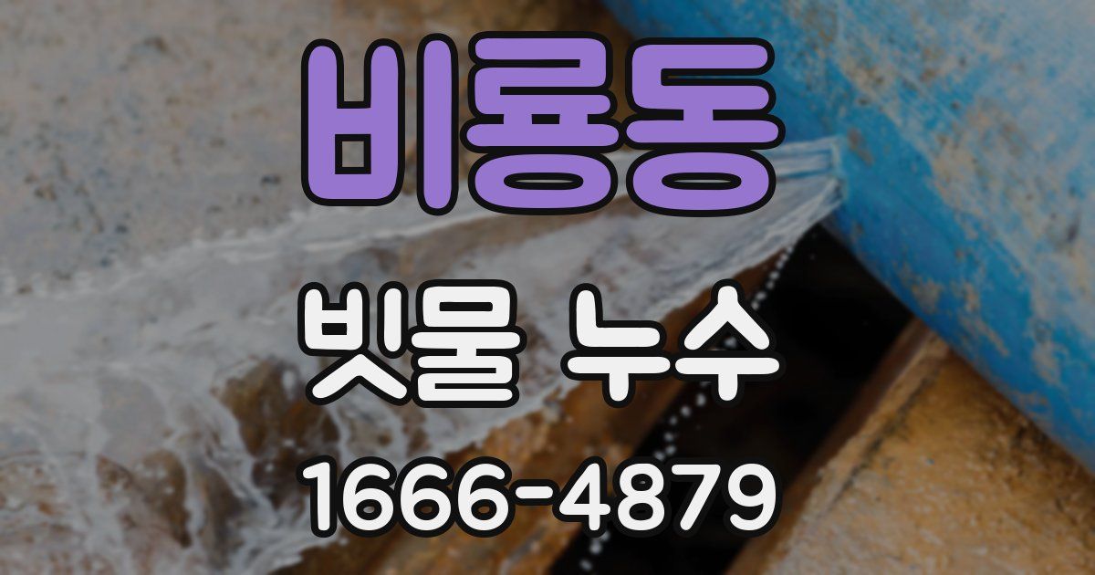 비룡동 빗물 누수