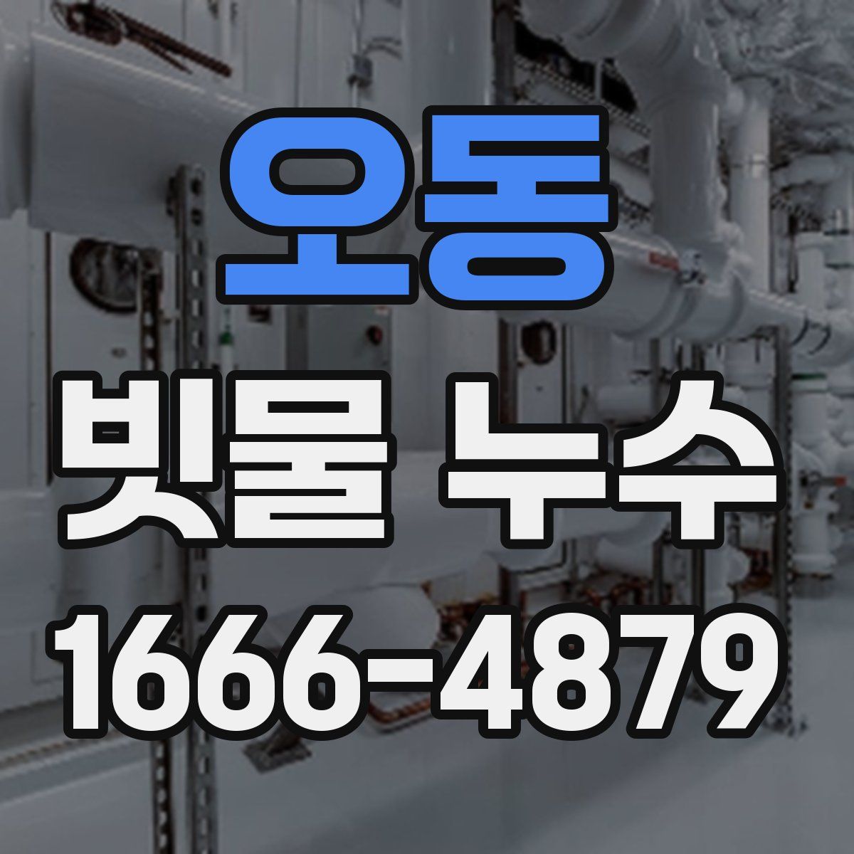 오동 빗물 누수