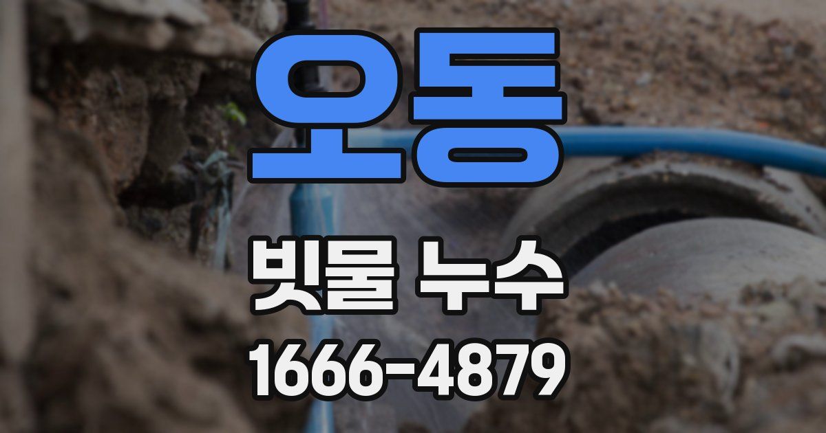 오동 빗물 누수